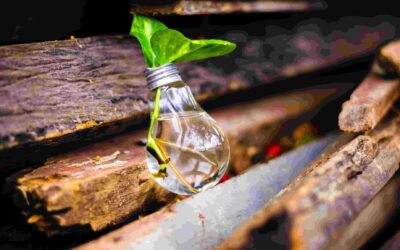 4 Factores de Éxito para la innovación empresarial