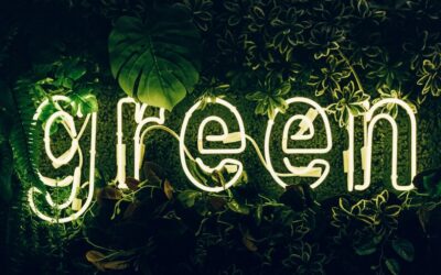 Beneficios de ser una Pyme verde