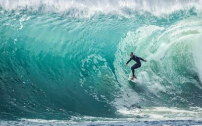 7 acciones para surfear su marca en la ola digital