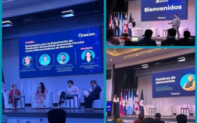 Oportunidades y desafíos para Pymes Exportadoras